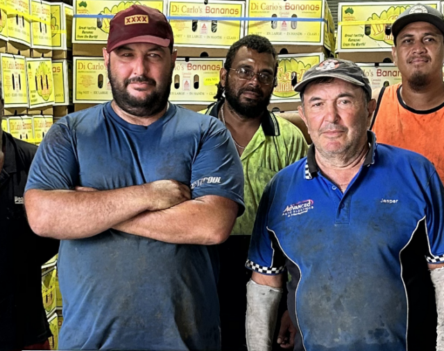 Banana industry imports update