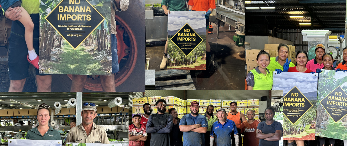 Growers' e-bulletin - 17 March 2026