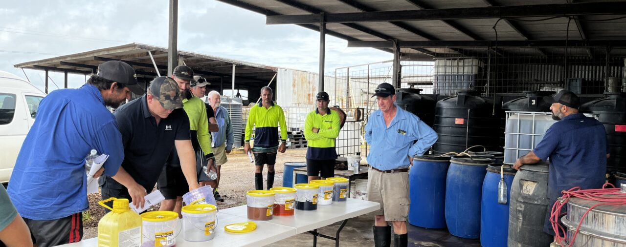 Growers' e-bulletin - 27 March, 2026