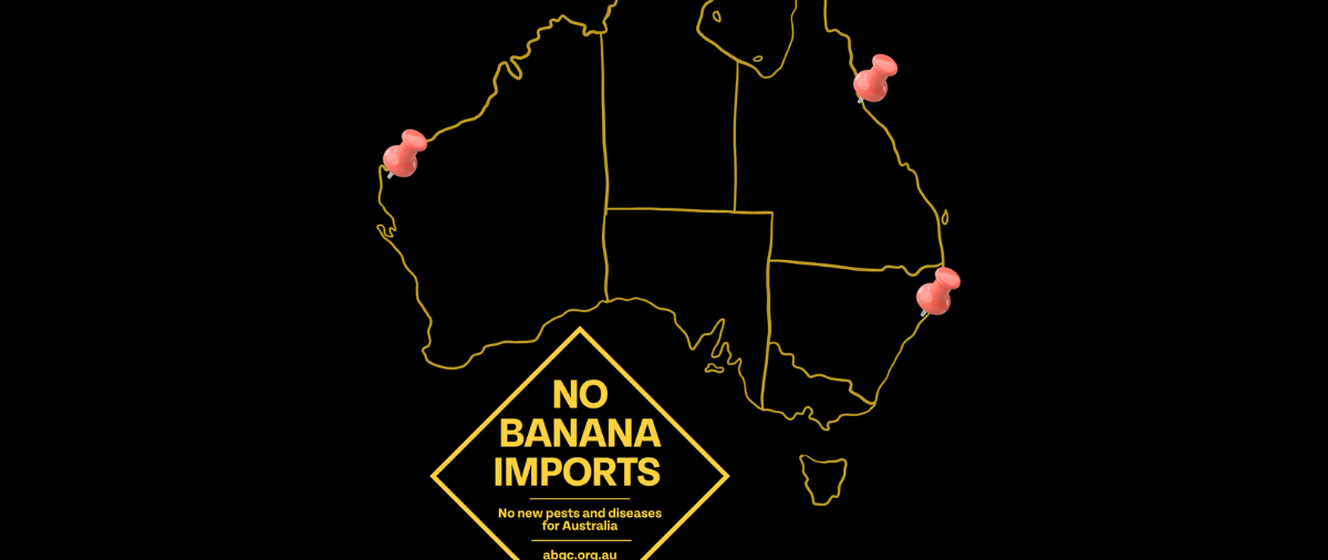 Putting a State Perspective on Banana Imports Risk 