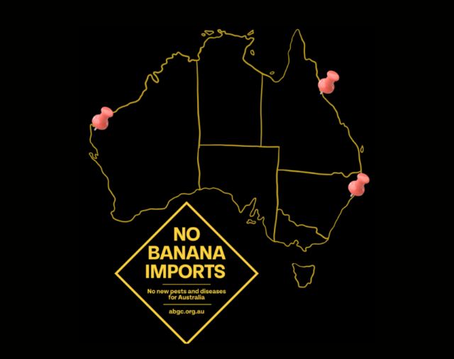 Putting a State Perspective on Banana Imports Risk 