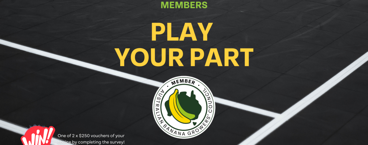 Help Set the Game Plan