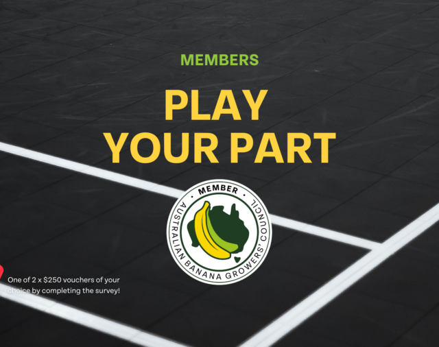 Help Set the Game Plan