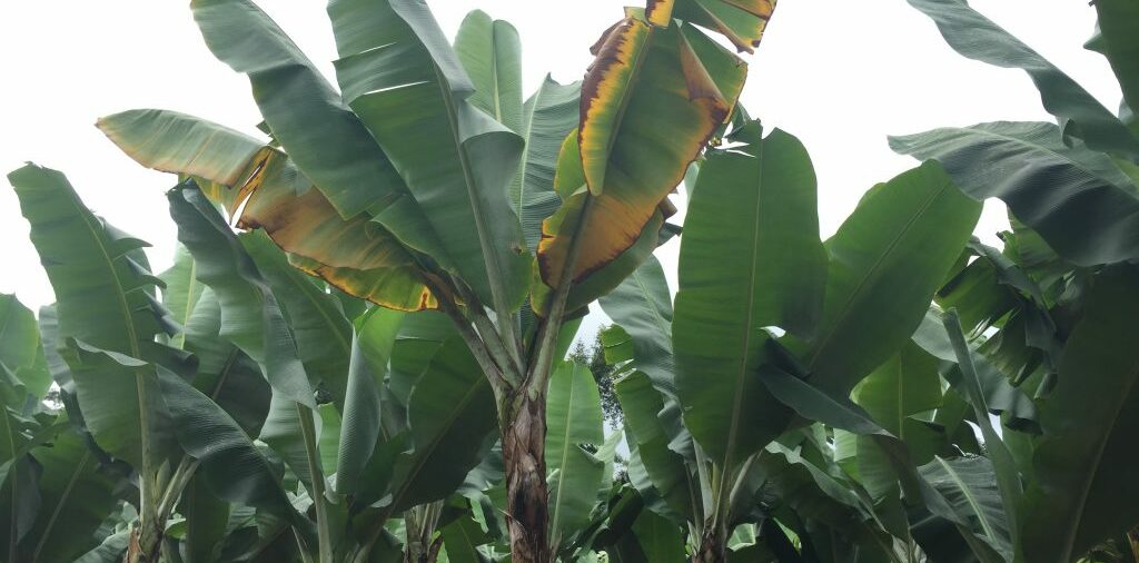 11th TR4 Detection | Members' First