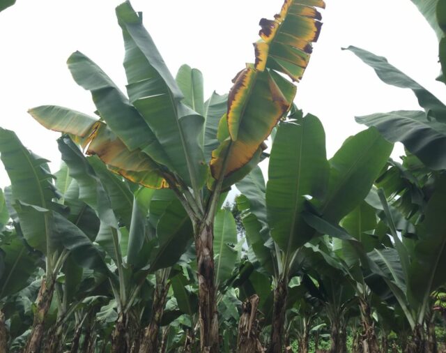 11th TR4 Detection | Members' First