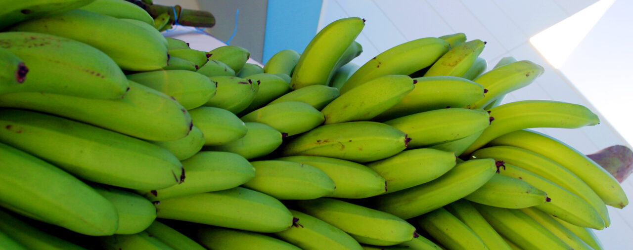 Fuel & Fert Key Developments for the Week