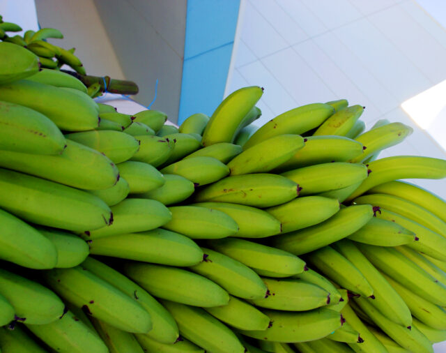 Fuel & Fert Key Developments for the Week