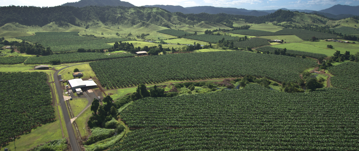 The Federal Government's decision to establish a Fertiliser Taskforce