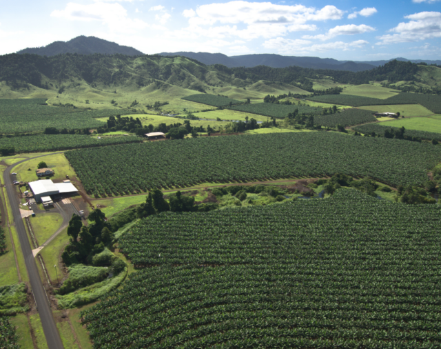 The Federal Government's decision to establish a Fertiliser Taskforce