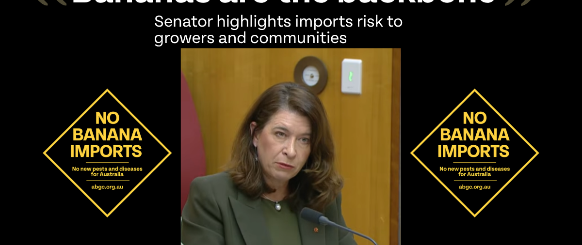 Senate Estimates: Australia's Banana Industry Under the Biosecurity Spotlight 