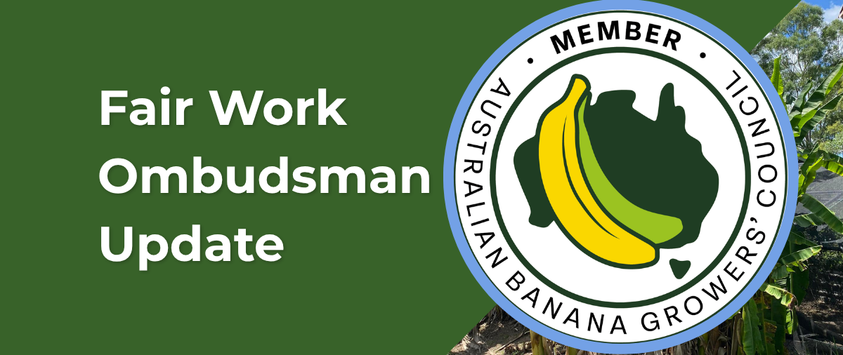 Minimum Wages Increase from 1 July 2026 
