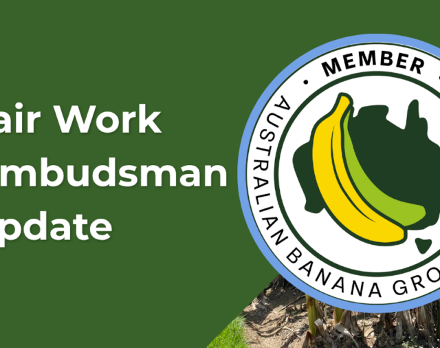 Minimum Wages Increase from 1 July 2026 