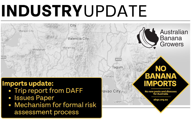 Important updates in banana imports process 
