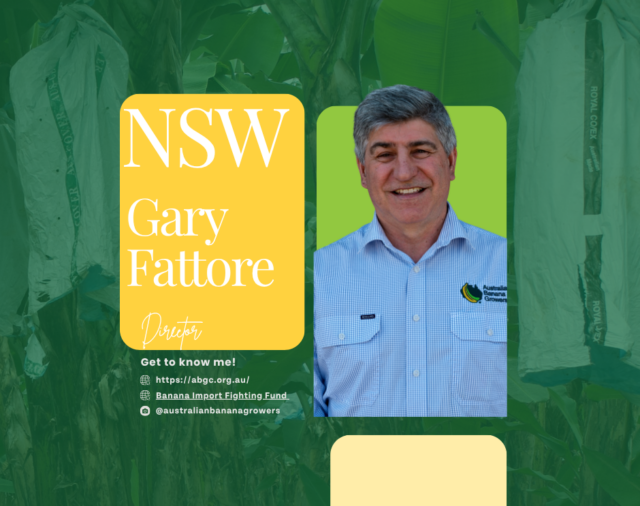 Meet our board director – Gary Fattore