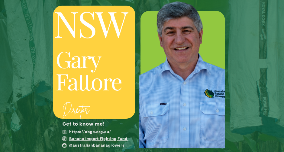 Meet our board director – Gary Fattore