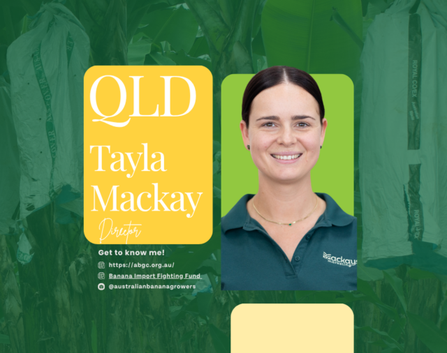 Meet our board director - Tayla Mackay