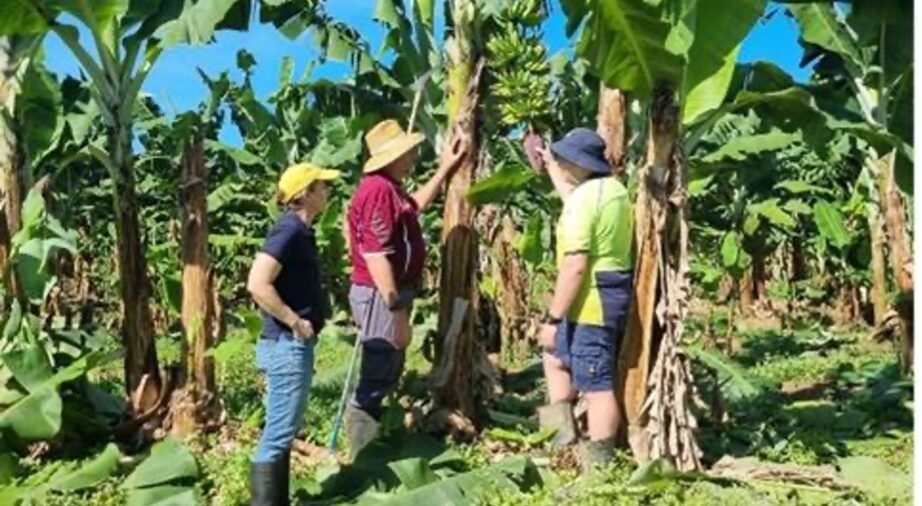 Strengthen your farm’s biosecurity this winter