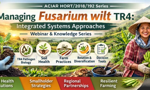 Upcoming webinar: Banana Farming Systems Under Pressure - June 16, 2026