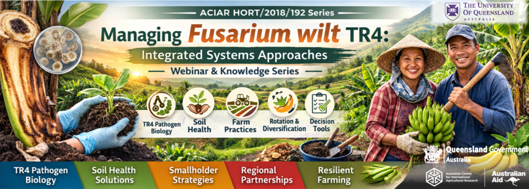 Upcoming webinar: Banana Farming Systems Under Pressure - June 16, 2026