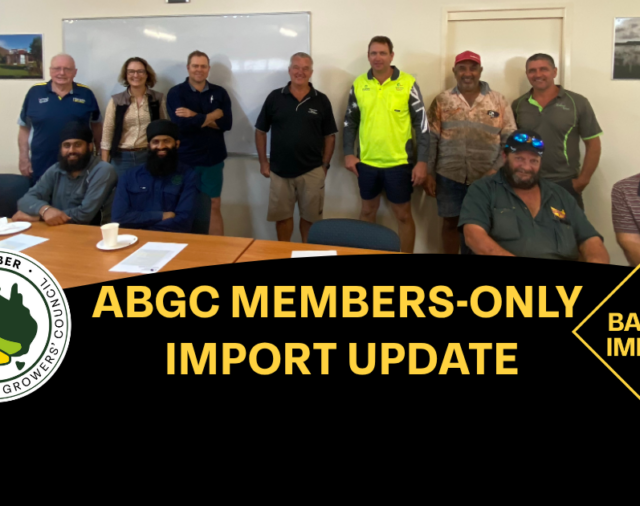 ABGC Member Exclusive Import Update