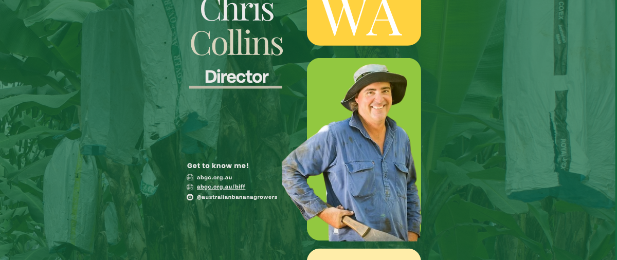 Meet our board director – Chris Collins