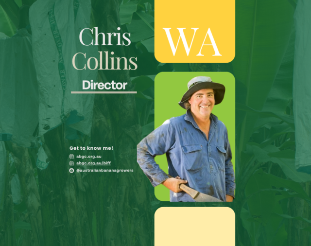 Meet our board director – Chris Collins