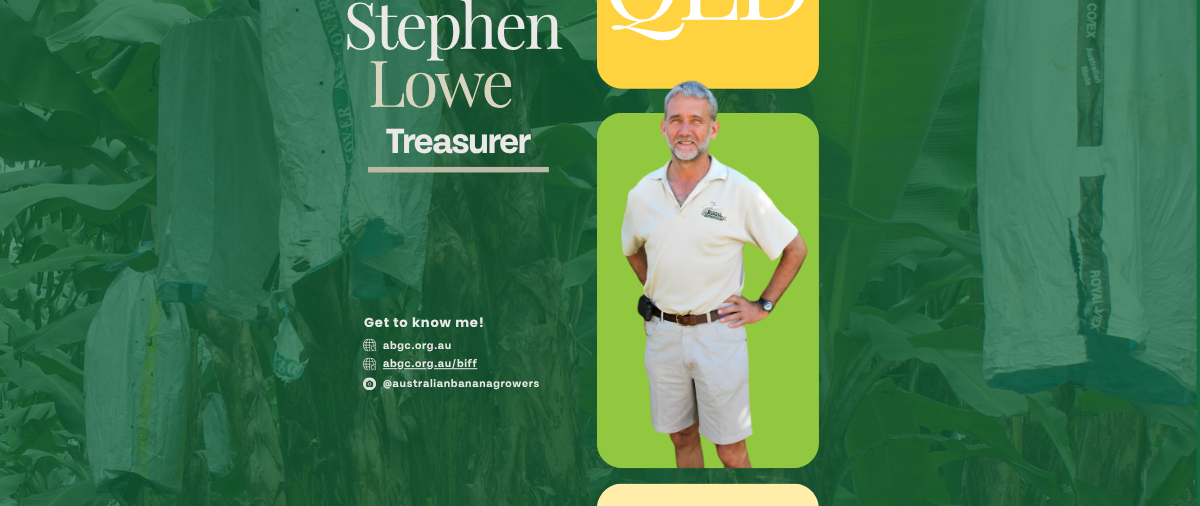 Meet our board director – Stephen Lowe