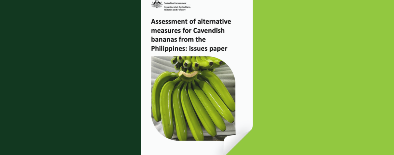 IMPORTS CONCERNS HIGHLIGHTED IN PAPER FEEDBACK