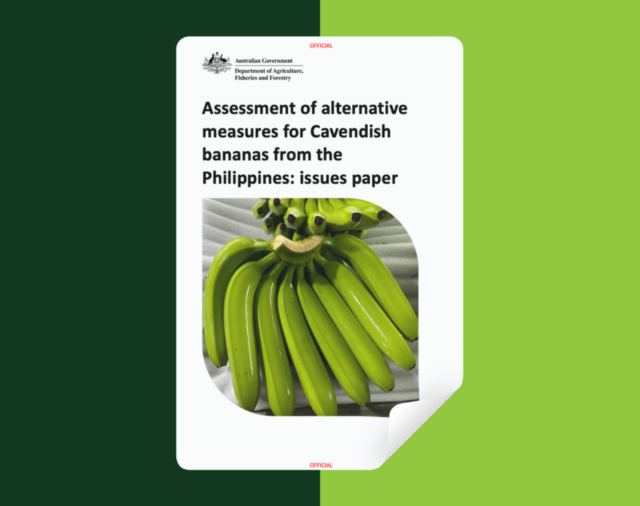 IMPORTS CONCERNS HIGHLIGHTED IN PAPER FEEDBACK