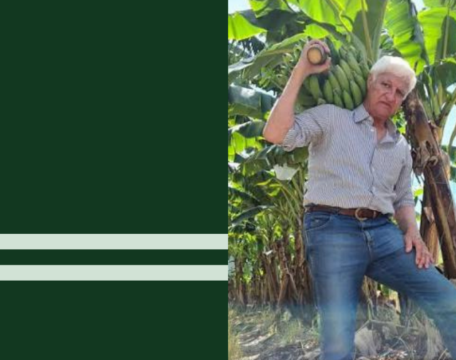 Banana imports remain on national agenda