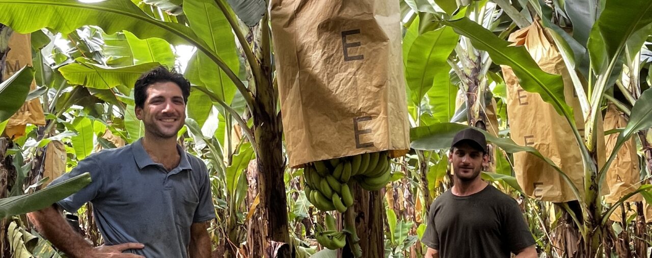 Growers' e-bulletin - 28 August 2026