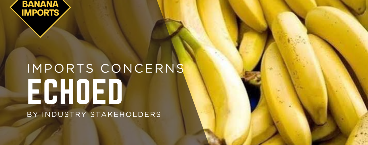 Banana import concerns echoed by industry stakeholders