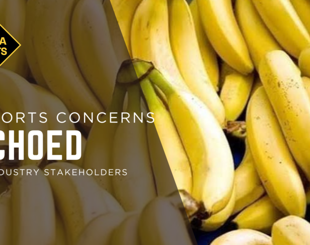 Banana import concerns echoed by industry stakeholders