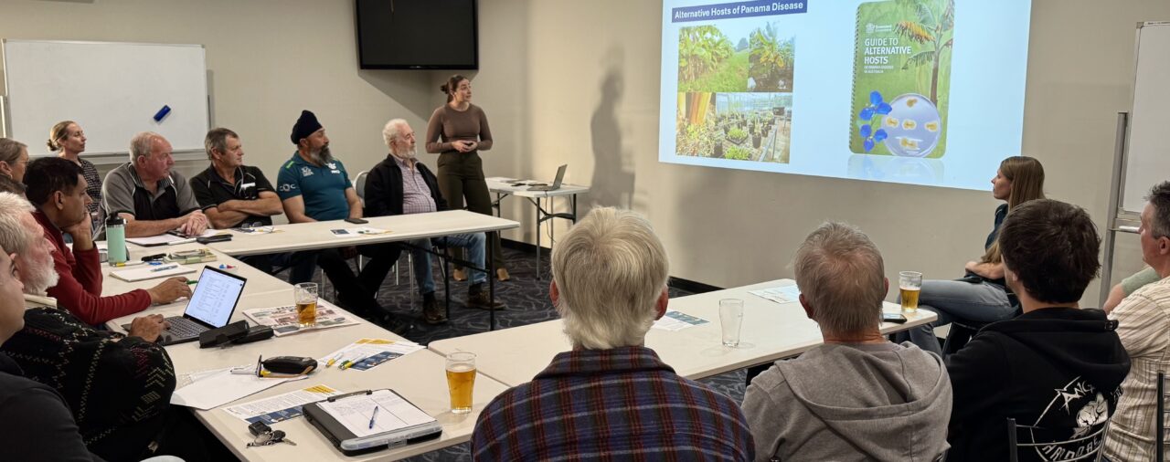 NSW growers connect with the National Banana Development and Extension Team