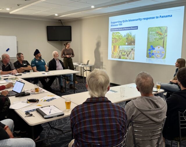 NSW growers connect with the National Banana Development and Extension Team
