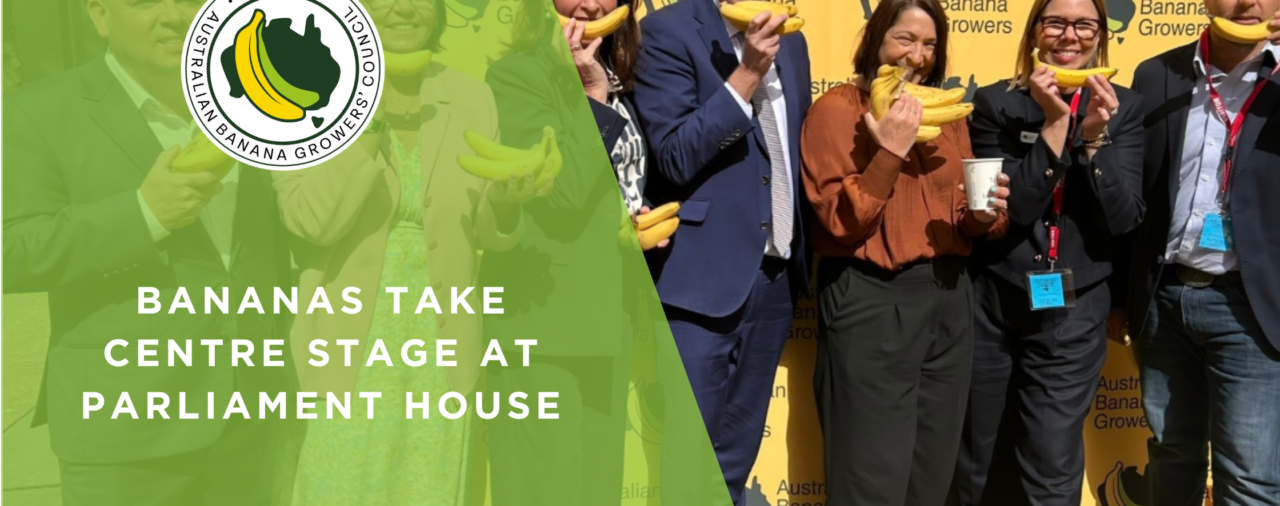 Bananas take centre stage at Parliament House 