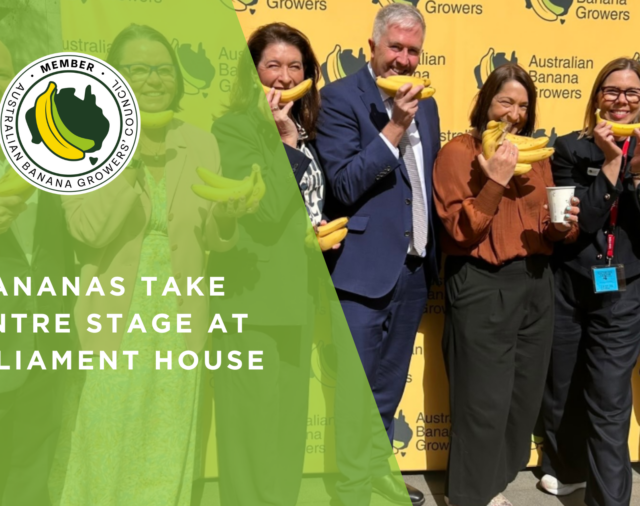 Bananas take centre stage at Parliament House 