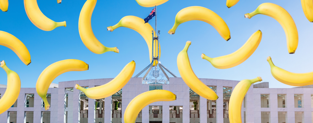Celebrating an Australian icon at Parliament House
