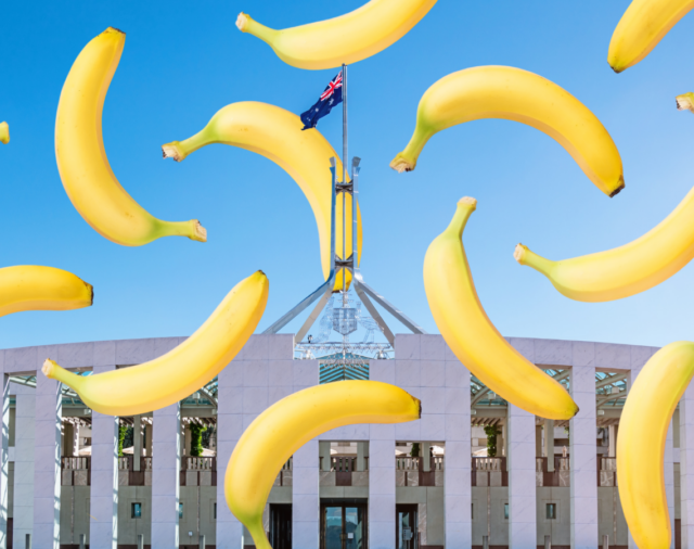 Celebrating an Australian icon at Parliament House