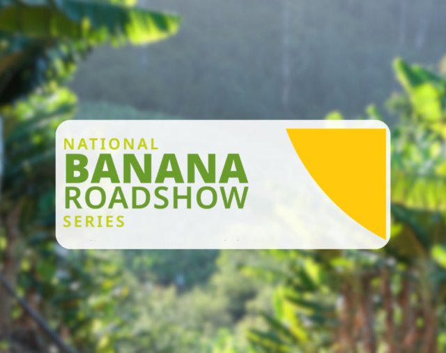 Banana Roadshow webinar for subtropical growers
