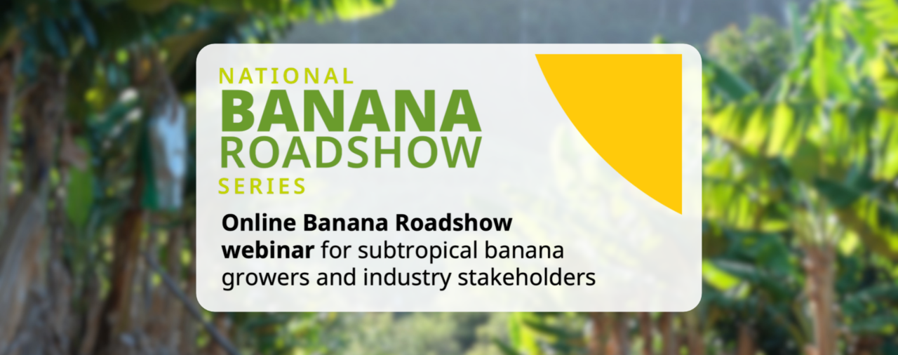 Banana Roadshow webinar for subtropical growers