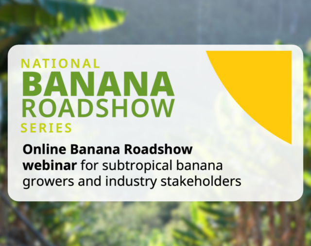 Banana Roadshow webinar for subtropical growers
