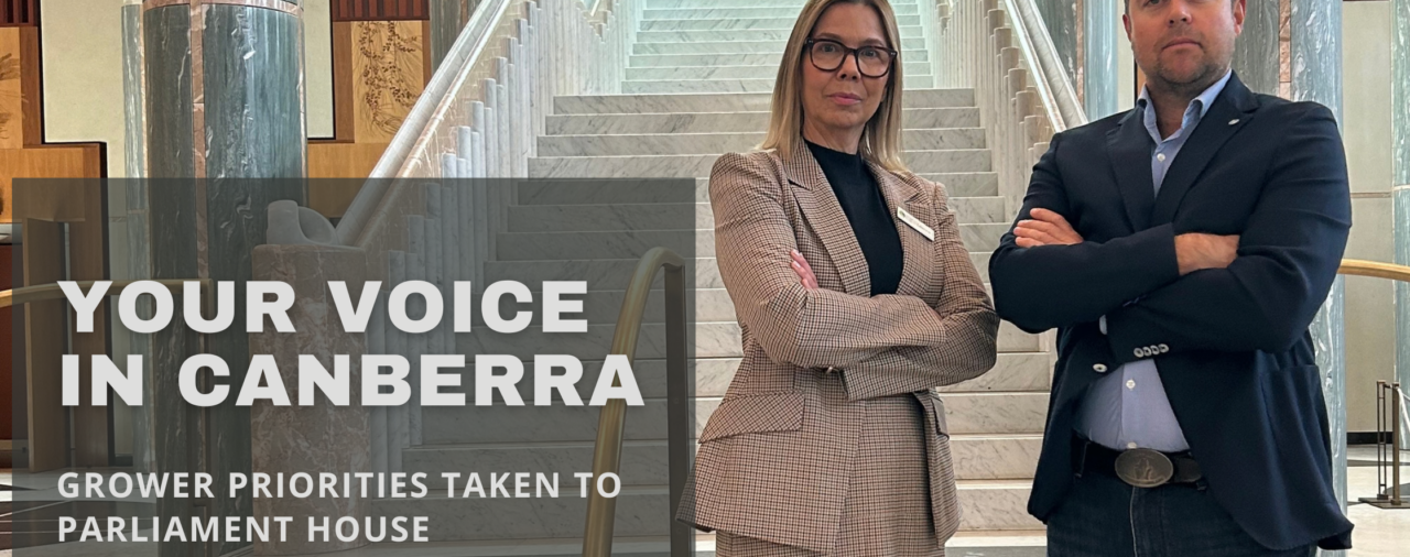 Your voice in Canberra